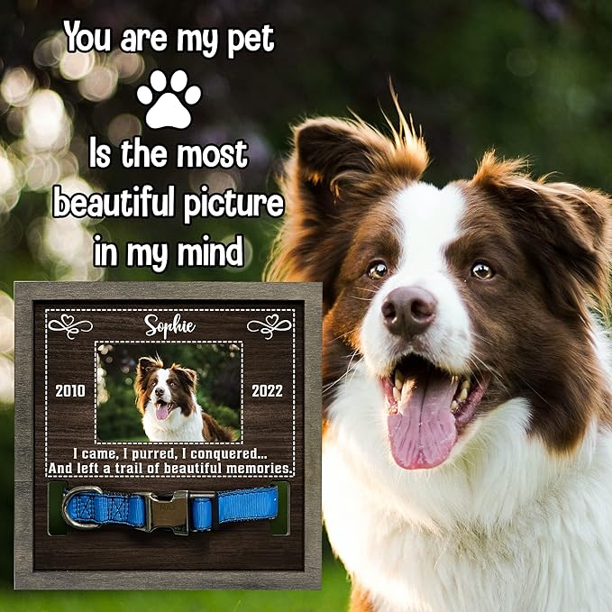 Customized Dog Picture Frames for Dogs That Passed Personalized Gifts for Pets Cat Memorial Frames Pet Photo Frames and Memorials Loss of Cat Gifts Rainbow Bridge Puppy Loss Gifts