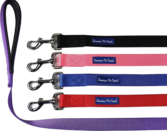 Downtown Pet Supply 2ft Heavy-Duty Dog Leash - Padded Comfort Handle & Stainless Steel Fastener - 0.75in Wide - Black