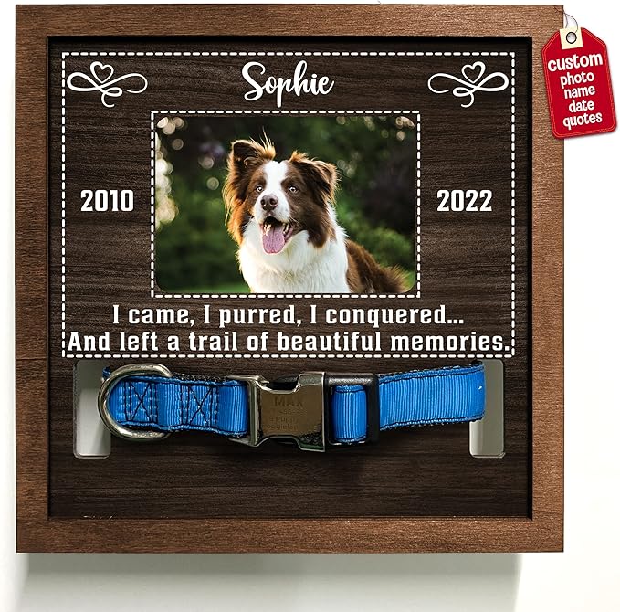 Customized Dog Picture Frames for Dogs That Passed Personalized Gifts for Pets Cat Memorial Frames Pet Photo Frames and Memorials Loss of Cat Gifts Rainbow Bridge Puppy Loss Gifts