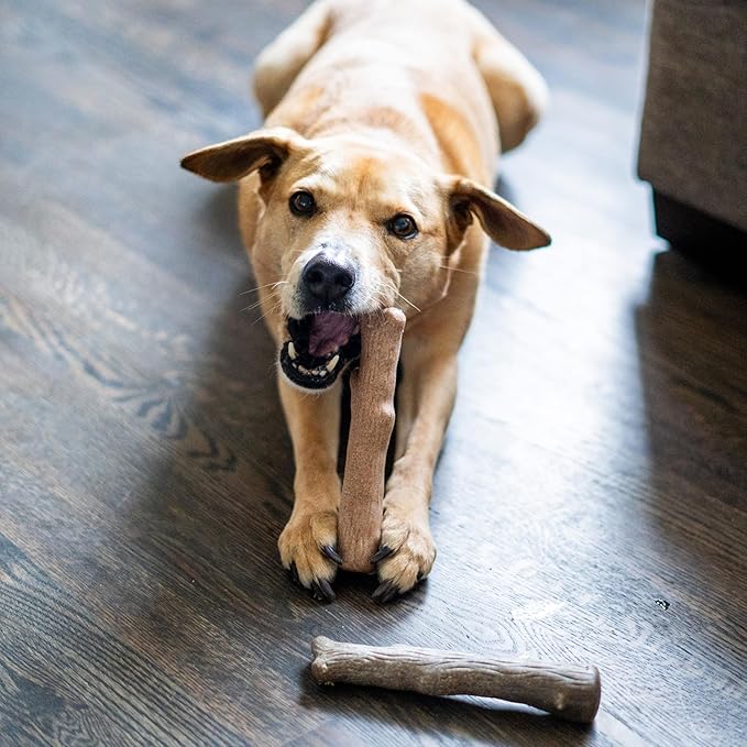 Outward Hound Pupstages Dogwood Calming Dog Chew Toy – Real-Wood Blend, Moderate Chewers, Medium, 7.5", 2-Pack (Natural & Hemp Flavors)