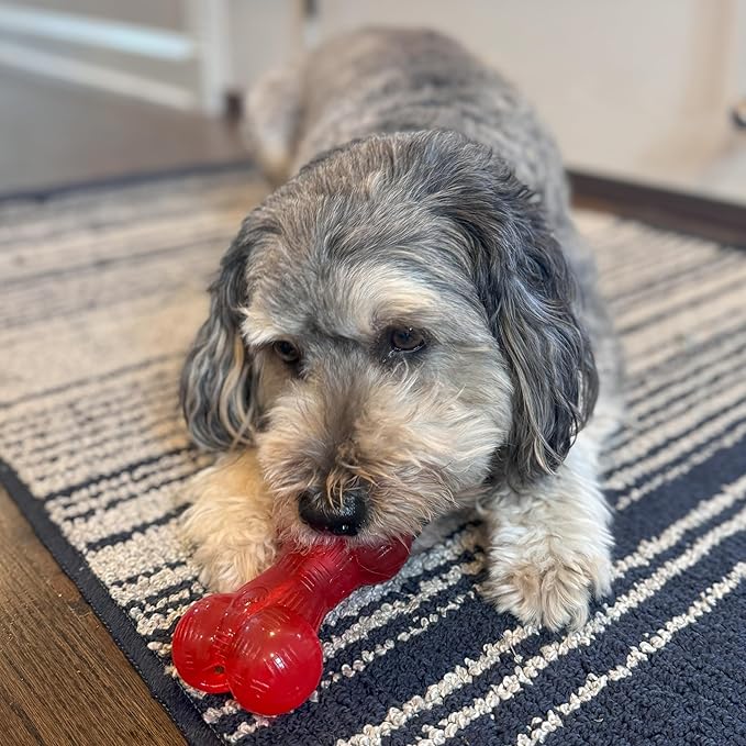 SPOT Play Strong Bone- Durable TPR Long Lasting Dog Chew for Aggressive Chewers, Hole for Treats, Virtually Indestructible Toy for Small and Medium Dogs & Puppies - 4.5 inch