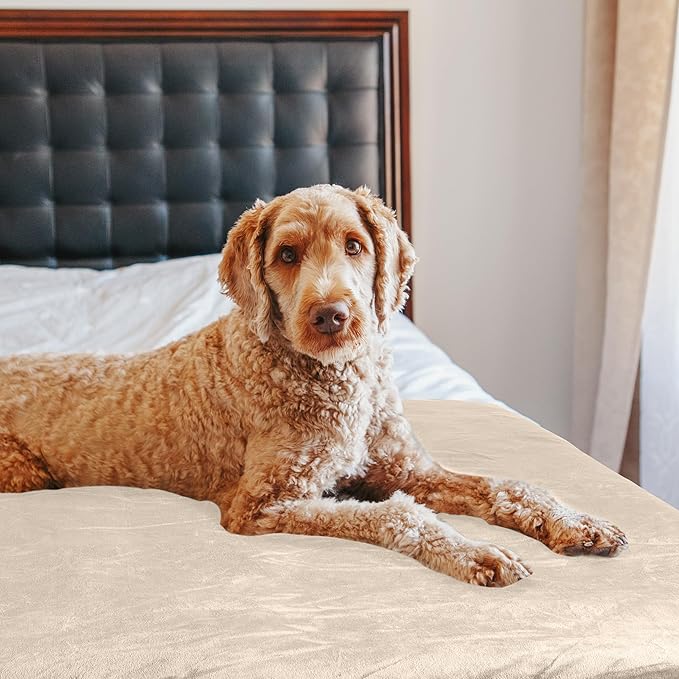 PETMAKER Dog Blanket - 60x70in Reversible Sherpa Blanket - Throw Blankets for Bed, Couch, Crate, or Car - Machine Washable Puppy Essentials (Cream)