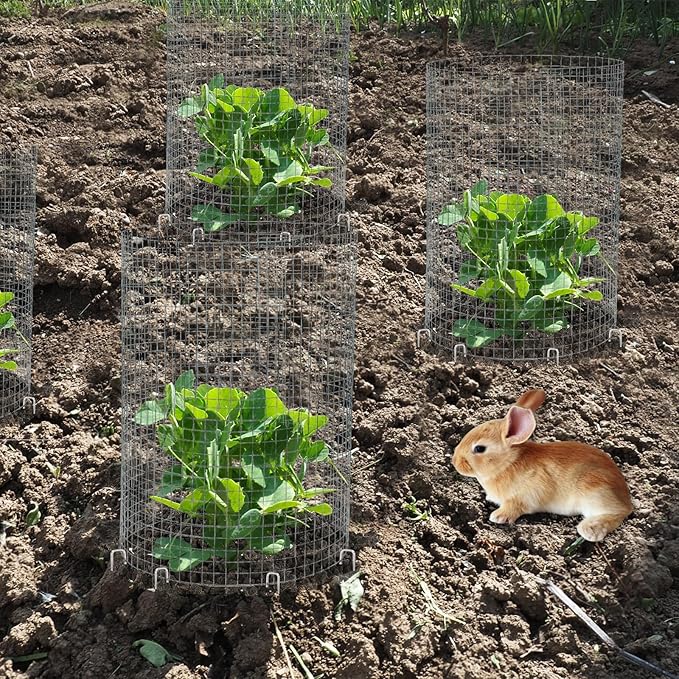 CIEOVO Wire Plant Protector from Animals, Metal Mesh Plant Cage Covers Rustproof Wire Plant Cages 30 U-Stakes and 100 Ties for Plants Keeping Bunnies Chicken Squirrels Birds Chicken Duck Out