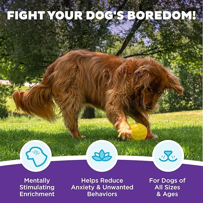 Outward Hound by Nina Ottosson Treat Tumble – Interactive Food-Dispensing Dog Puzzle Ball, Level 1 Beginner, Large, 5.75"