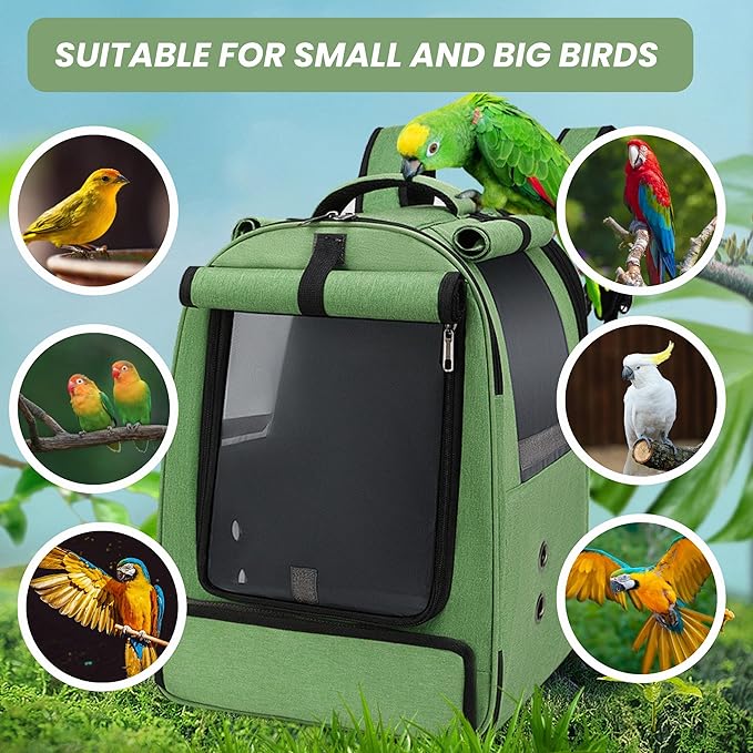 Bird Backpack Travel Cage for Cockatiel, Parrot, Parakeet With 2 Bowls Tray and Standing Perch - African Grey Carrier for Large and Small Birds (Green)