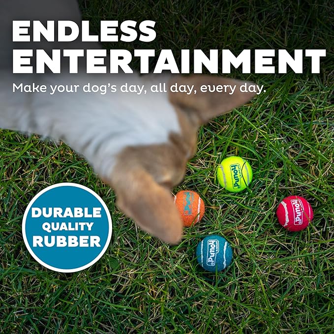 Outward Hound Squeaker Ballz – Squeaky Tennis Balls for Dogs Under 25 lbs, Interactive Dog Toy for Fetch & Training, Small (2"), 8‑Pack