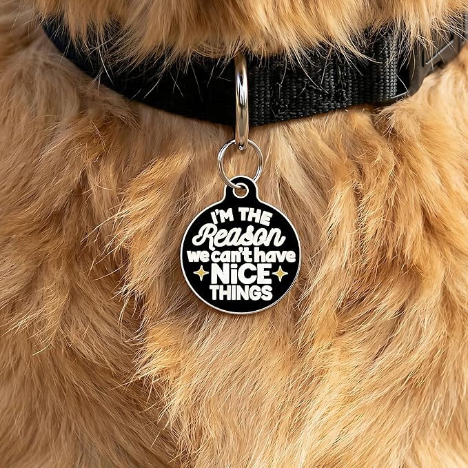 Bad Tags Personalized Dog and Cat ID Tags in 25+ Designs and 2 Sizes - 5 Lines of Custom Engraved Text - Funny Cute Personalized Pet Tags (I'm The Reason We Can't Have Nice Things, Large (1.25 inch))