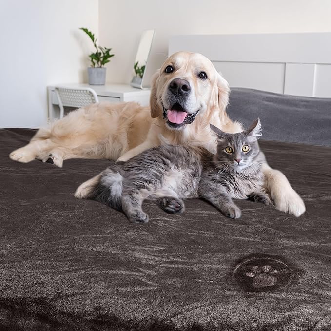 PETMAKER Dog Blanket - 60x80in Reversible Sherpa Blanket - Throw Blankets for Bed, Couch, or Car - Machine Washable Puppy Essentials (Charcoal)