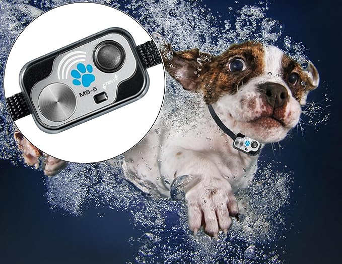 High Tech Pet Power Pet Medium Electronic Pet Door PX-1