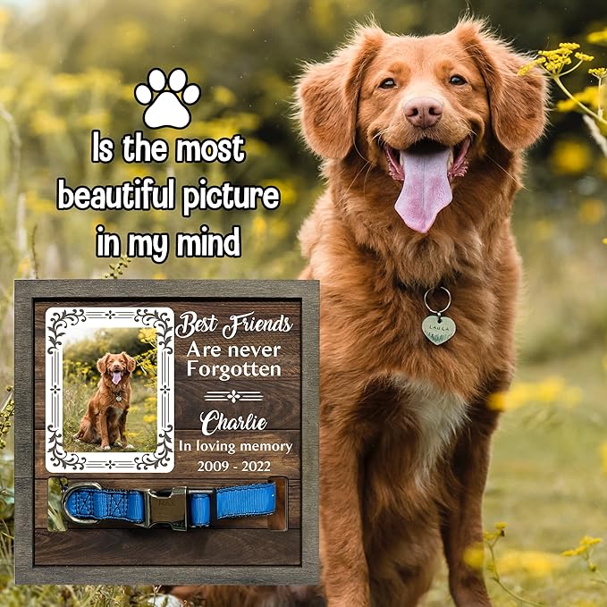 Personalized Cat Dog Memorial Picture Frame Bereavement Gifts Cat Memorial Dog Loss Sympathy Gift When Tomorrow Starts Without Me Memorial Plaques Personalized Christmas Plaque Birthday Gifts