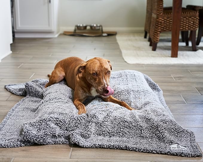 Pet Parents Premium Pet Blanket - Water Resistant Dog & Cat Blanket, Perfect for Crates, Calming, Large, Medium & Small Dogs, Puppy Size: 50x60, Color: Slate