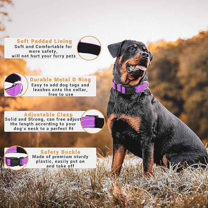 2 Pack Reflective Dog Collar with Safety Locking Buckle, Adjustable Soft Breathable Comfortable Nylon Pet Collar for Small, Medium and Large Dogs, Rosered, L