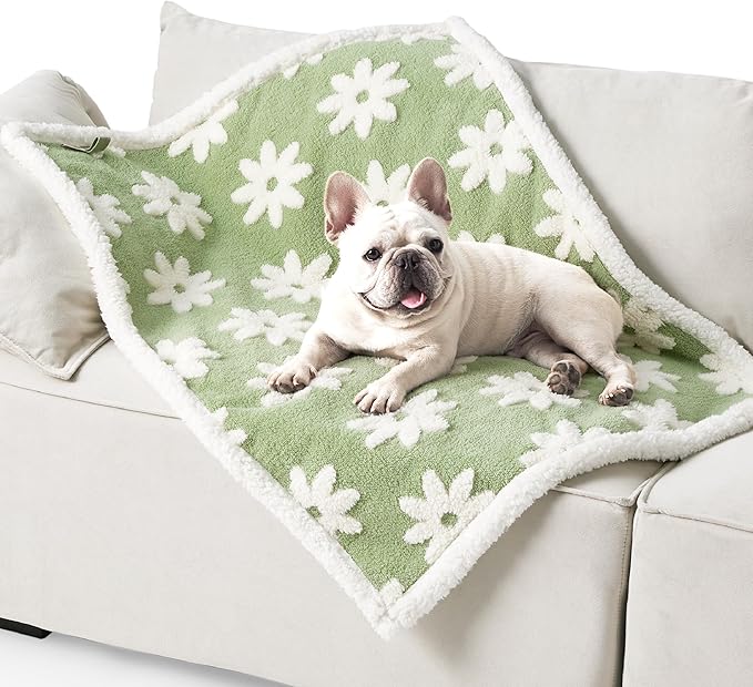 LE SURE Waterproof Dog Blanket for Medium Dogs - Washable Double Sided Dog Blankets with Warm Jacquard Shag and Soft Sherpa Fleece, Pet Cat Blanket for Couch Protection, 3D Textured Cloud, Green