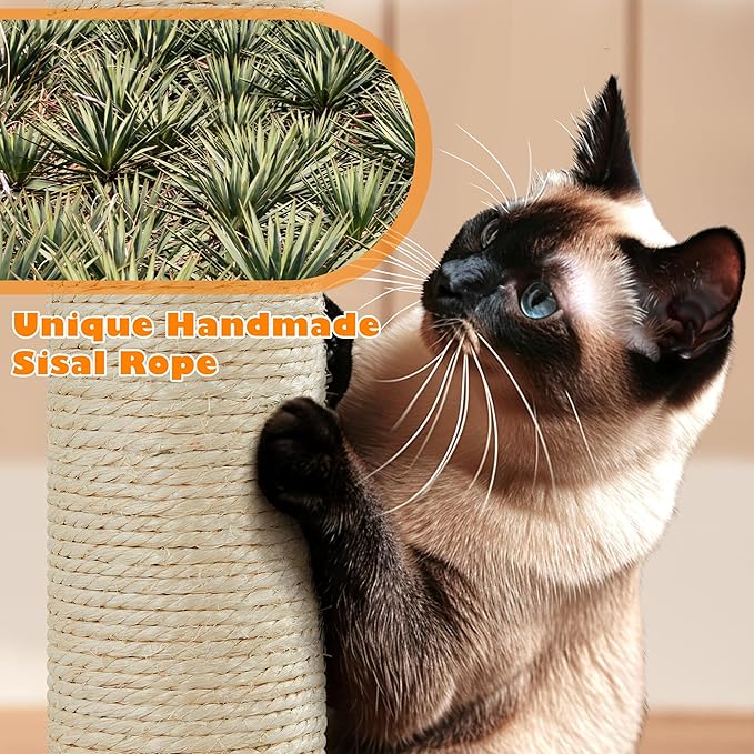 Topeakmart Multi Level Cat Tree, Cat Tower for Indoor Cats with 2 Condos & 2 Perches & Scratching Post, Cat Bed Furniture for Play