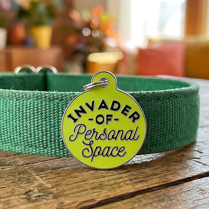 Bad Tags Personalized Dog and Cat ID Tags in 25+ Designs and 2 Sizes - 5 Lines of Custom Engraved Text - Funny Cute Personalized Pet Tags (Invader of Personal Space - Green, Small (1 inch))