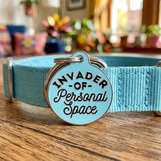 Bad Tags Personalized Dog and Cat ID Tags in 25+ Designs and 2 Sizes - 5 Lines of Custom Engraved Text - Funny Cute Personalized Pet Tags (Invader of Personal Space - Blue, Large (1.25 inch))