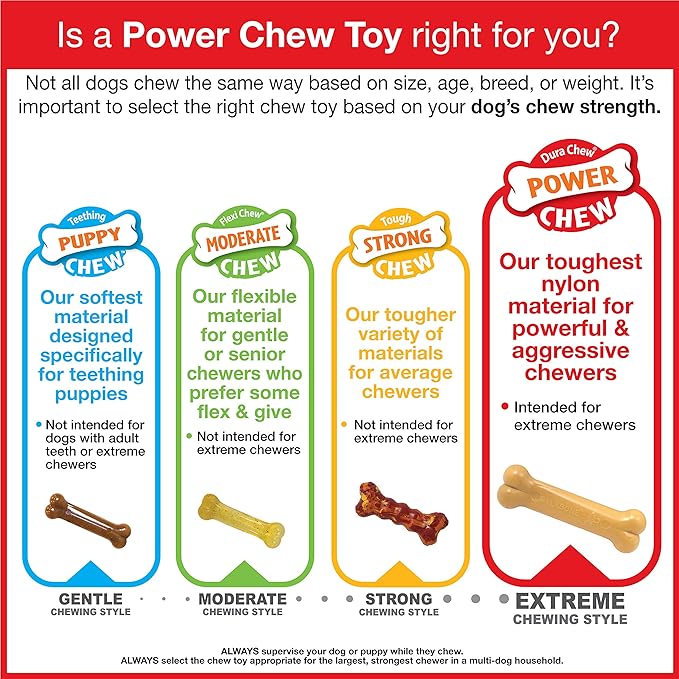 Nylabone Power Chew Groove Bone - Dog Toys for Aggressive Chewers - Durable Dog Toy for Small Breeds - Small Dog Chew Toys - Flavor Medley, Small, Up to 25 Ibs. (1 Count)