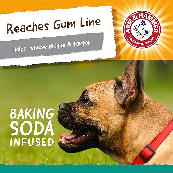 Arm & Hammer Nubbies T-Bone Dental Dog Chew Toy with Peanut Butter Flavor, Textured Chew Toy Designed to Help Clean Teeth and Support Oral Care for Dogs Up to 35 lbs - 2 Pack