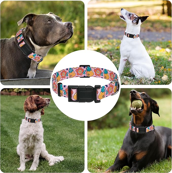 Dog Collar, Cute Cartoon Fruit Boys Girls Puppy Collar for Small Medium Large Dogs, Adjustable Soft Pet Collar with Safety Buckle for Male Females(Pink Cartoon, S)