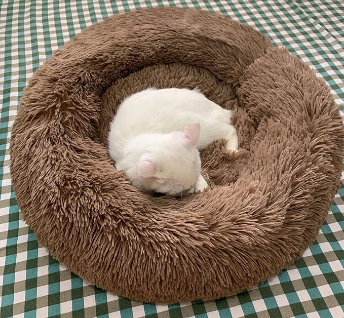 BODISEINT Modern Soft Plush Round Pet Bed for Cats or Small Dogs, Mini Medium Sized Dog Cat Bed Self Warming Autumn Winter Indoor Snooze Sleeping Cozy Kitty Teddy Kennel (20'' D x 8'' H, Coffee)