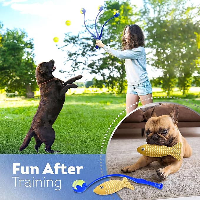 Dog Agility Course Backyard Set, Including Dog Tunnel Bags for Agility Dog Jumps and All Toys - Professional Dog Agility Equipment Range - Dog Training Course Equipment, Dog Obstacle Course Backyard