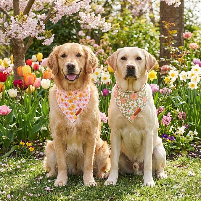 ADOGGYGO Floral Dog Bandanas 2 Pack, Daisy Flower Puppy Scarf, Premium Fabric, Adjustable Fit Spring Summer Floral Bandanas for Medium Large Dogs (Large)