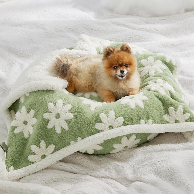 LE SURE Waterproof Puppy Blanket for Small Dogs - Washable Double Sided Dog Blankets with Warm Jacquard Shag and Soft Sherpa Fleece, Pet Cat Blanket for Couch Protection, 3D Textured Cloud, Green
