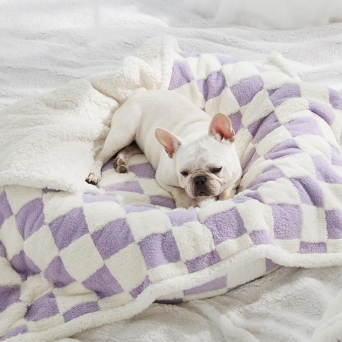 LE SURE Waterproof Dog Blanket for Medium Dogs - Washable Double Sided Dog Blankets with Warm Jacquard Shag and Soft Sherpa Fleece, Pet Cat Blanket for Couch Protection, 3D Textured Checks, Purple
