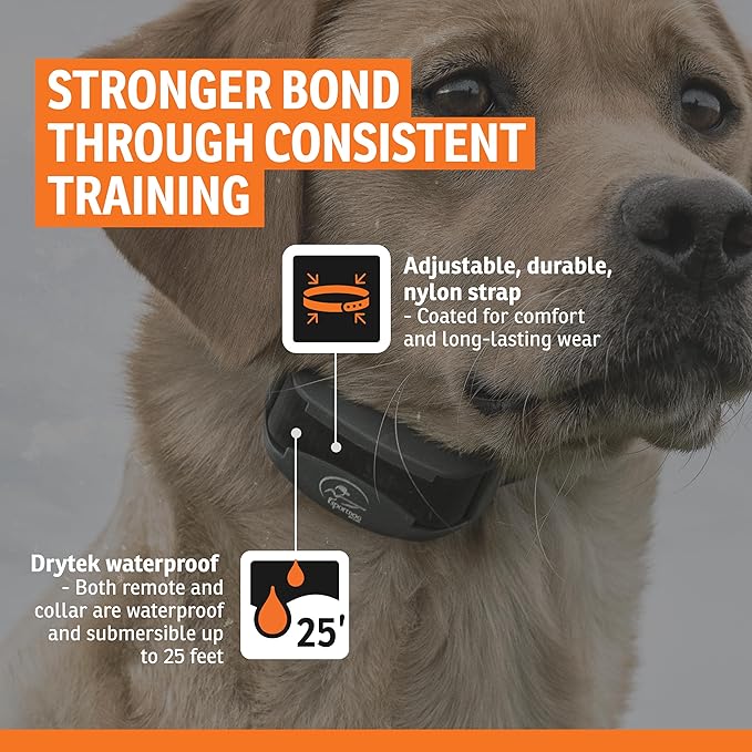 SportDOG FieldTrainer 425X & SportHunter 825X Add-a-Dog Collar - Double Pairing Compatible - Safe Shock E-Collar for Multi-Dog Households - Durable & Waterproof Obedience Training Accessory - Orange