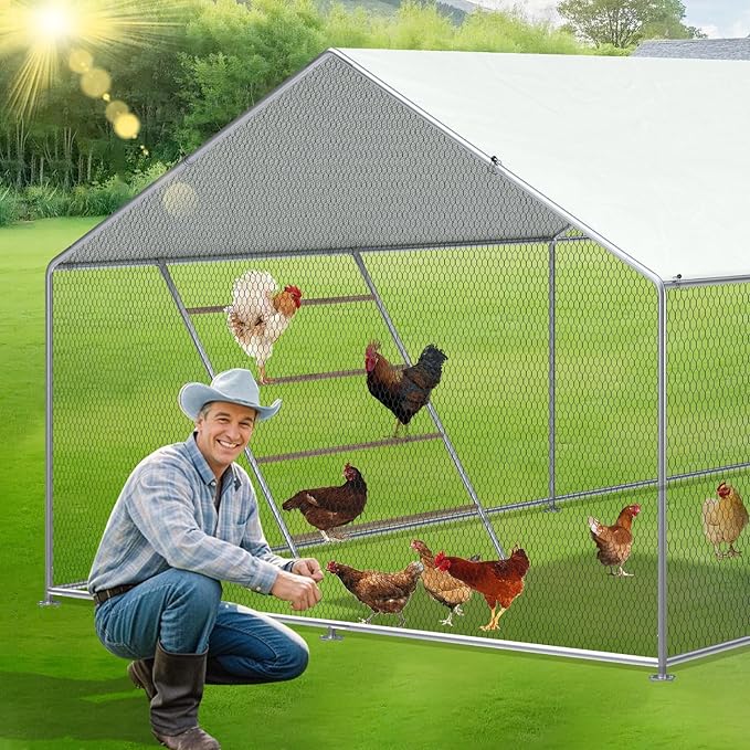 Chicken Perch, Chicken Coop Roosting Perch for Backyard Poultry, Chicken Coop Perch Easy to Assemble & Clean, Farm Chicken Toys (55" L x 40" W)