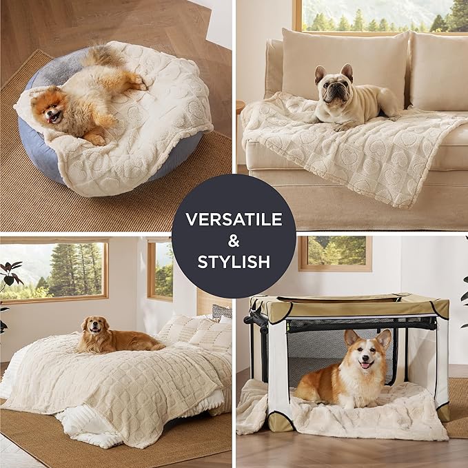 Bedsure Dog Blankets for Small Dogs Washable - Fluffy Fuzzy Cat Puppy Blanket with Premium 300GSM Coral Fleece Soft for Pet Kitten Doggy, White, 25x35IN