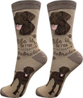 E&S Pets Pet Lover Socks - Dog & Cat Socks - Unisex Novelty Gifts