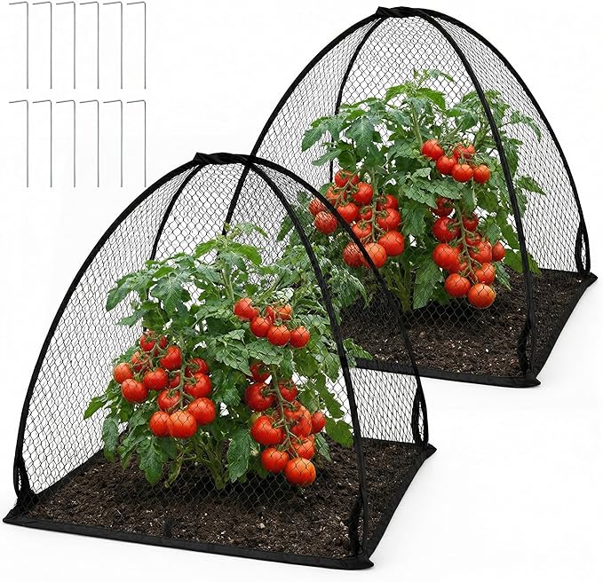 DECOHS 2 Pcs Pop-Up Mesh Plant Cover Tent, 30 x 28 x 28 Inch Garden Net Cage Guard Cover, Plant Protector Enclosure with 12 Ground Stakes for Protecting Plants Vegetable Fruit from Birds Insects