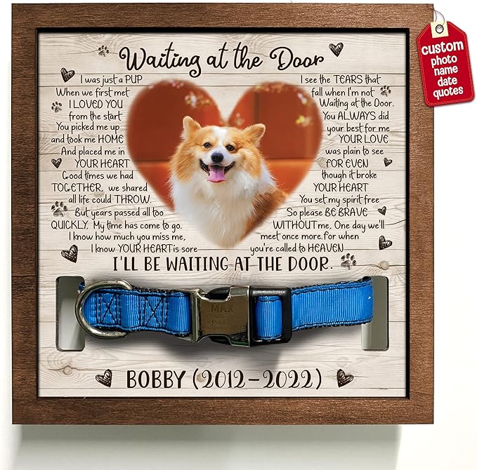Personalized Pet Memorial Gifts Dog Memory Gifts Cat Memorial Frame Dog Died Sympathy Gift Pet Memorial Plaques Personalized For Pet That Passed Cat Picture Frame Best