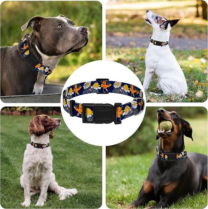 Dog Collar with Butterflies Print, Daisy Boys Girls Puppy Collar for Small Medium Large Dogs, Adjustable Soft Floral Pet Collar with Safety Buckle for Male Females(Blue Butterfly,XS)