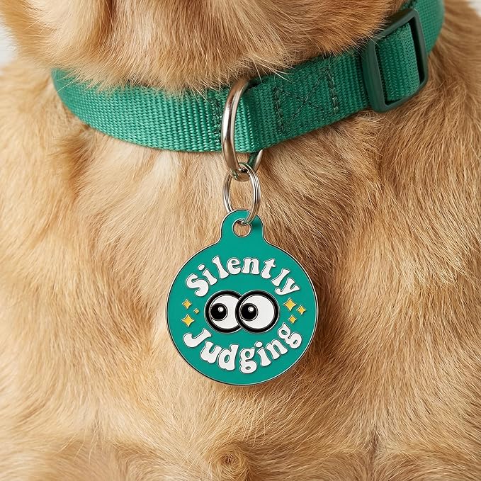 Bad Tags Personalized Dog and Cat ID Tags in 25+ Designs and 2 Sizes - 5 Lines of Custom Engraved Text - Funny Cute Personalized Pet Tags (Silently Judging - Green, Large (1.25 inch))