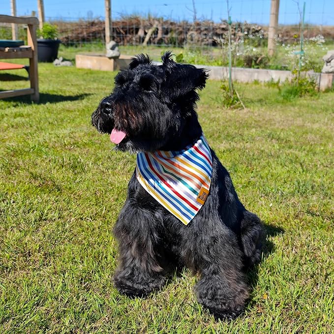 Birthday Dog Bandanas Medium Large, Colorful Sprinkle Stripes, Reversible Soft Breathable Adjustable Scarf for Small Medium Large Dogs Boy Girl Party Outfit Accessory FW2