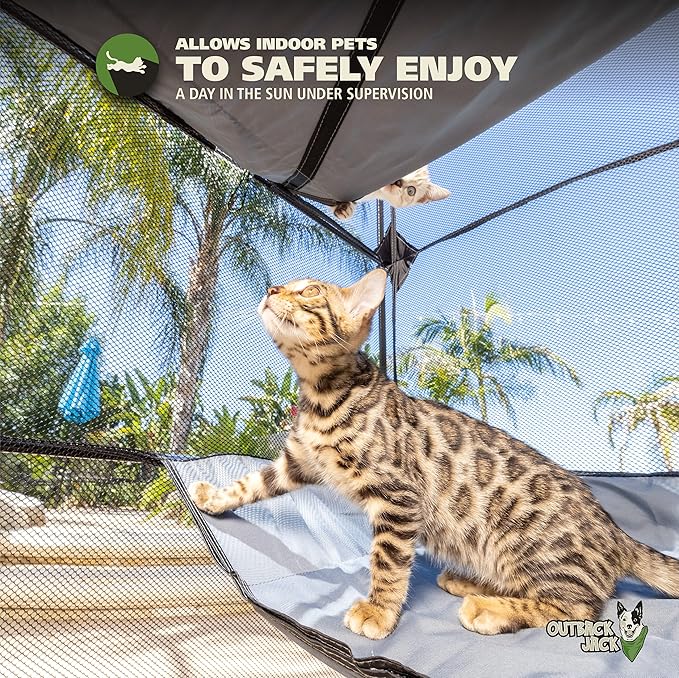 Outback Jack Catio Outdoor Cat Enclosure, (Kitty Katio) for Indoor Cat or Multiple Cats - Portable Tent, Play Tent for Cats, Catio, Outside Enclosure
