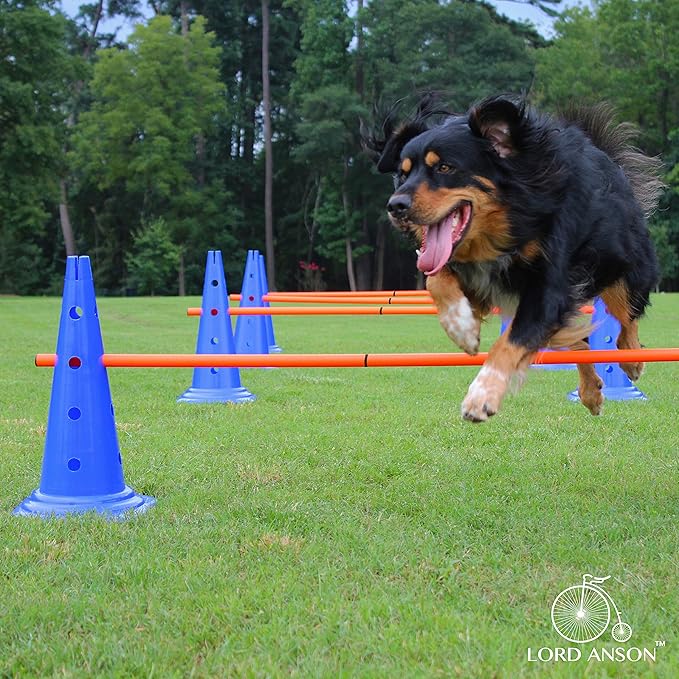 Dog Agility Hurdle Cone Set - Canine Training Set - Obedience, Rehabilitation - 16 Cones and 8 Rods