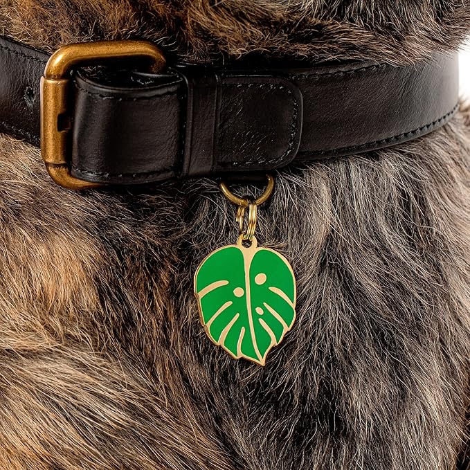 Two Tails Pet Company Personalized 'Monstera Leaf' Pet ID Tag & Collar Charm - Custom Engraved Dog Tags for Pets - Luxury Brass, Gold Plating