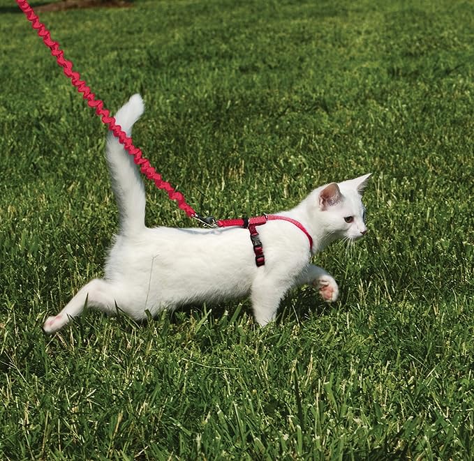 PetSafe Come With Me Kitty Cat Harness & Bungee Leash - Comfortable Cat Harness with Lightweight Bungee Leash for Outdoor Fun - More Secure Walks - Small - Red