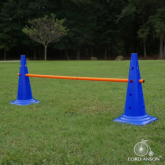 Dog Agility Hurdle Cone Set - Canine Training Set - Obedience, Rehabilitation - 16 Cones and 8 Rods