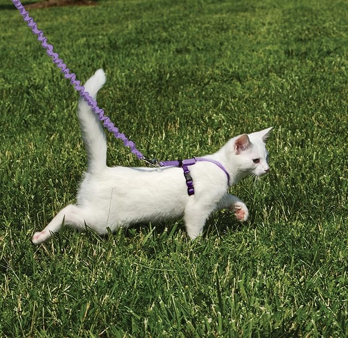 PetSafe Come With Me Kitty Cat Harness & Bungee Leash - Comfortable Cat Harness with Lightweight Bungee Leash for Outdoor Fun - More Secure Walks - Small - Lilac