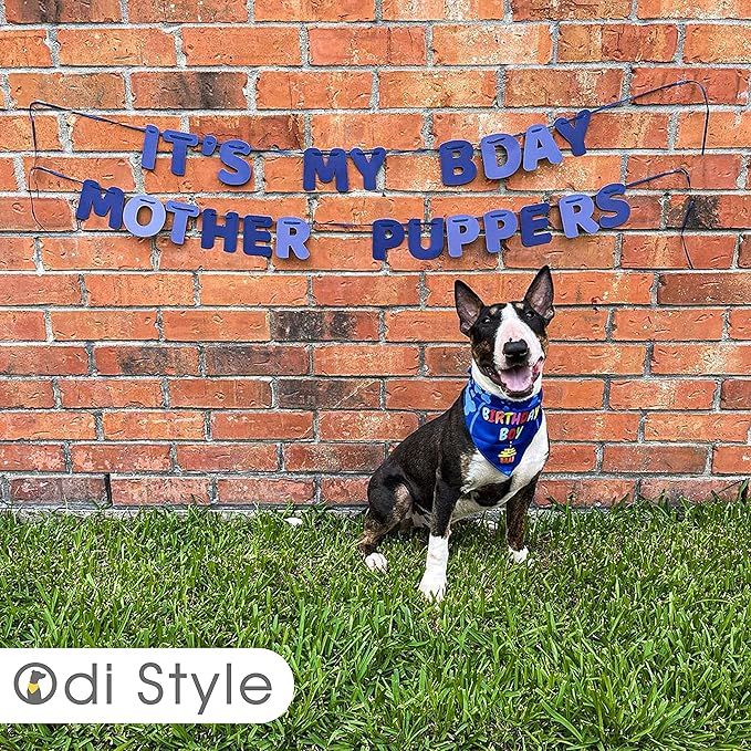 Dog Birthday Party Supplies - Bandana Set with Party Hat, Crown and Banner - 'It's My Birthday Mother Puppers' for Medium, Large Dogs