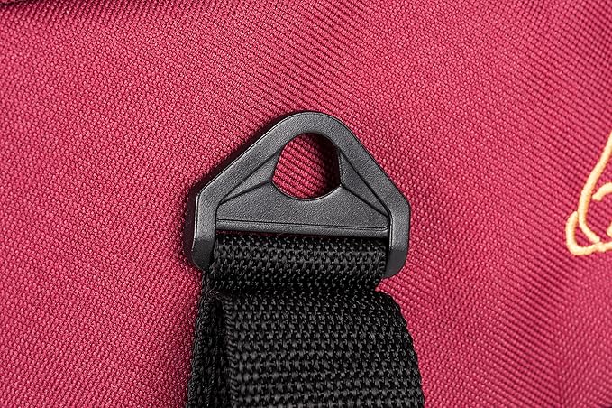 Pawer Soft-Sided Pet Carrier for Cat and Small Dog,Burgundy Color,Medium Size,Washable Cloth Airline Approved Travel Tote,with 2 Mesh Opens and a Strap for Carry,Multiple Colors Available