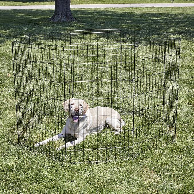 New World Folding Metal Dog Exercise Pen, Indoor/Outdoor Playpen with No Door, Provides 16 Sq Feet of Play Space, 42-Inches Tall, Black E-Coated